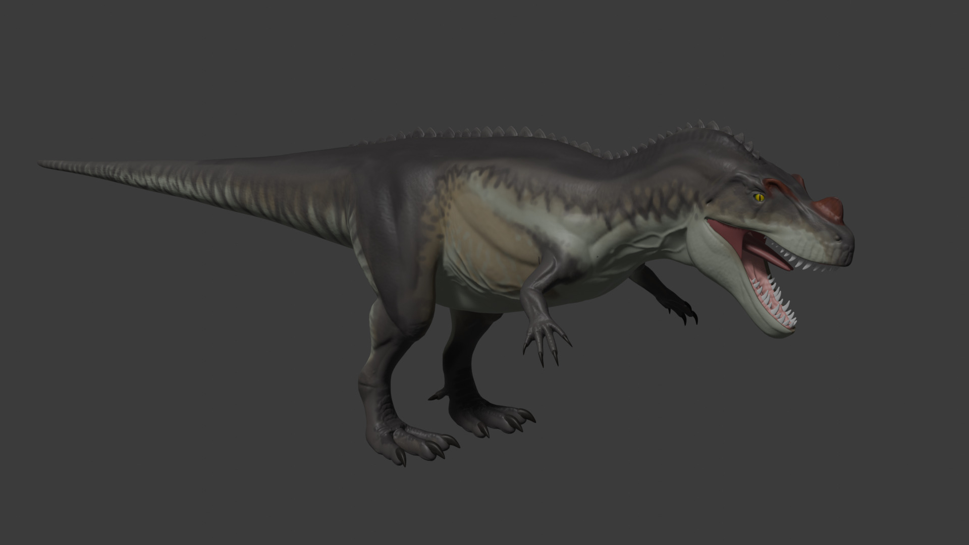 Ceratosaurus Dinosaur model Free 3D model_2
