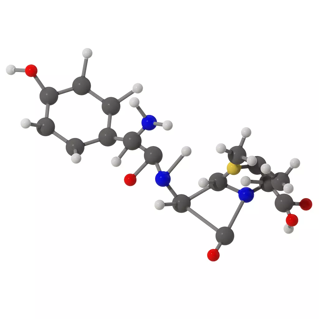 Amoxicillin Molecular Structure 3D print model