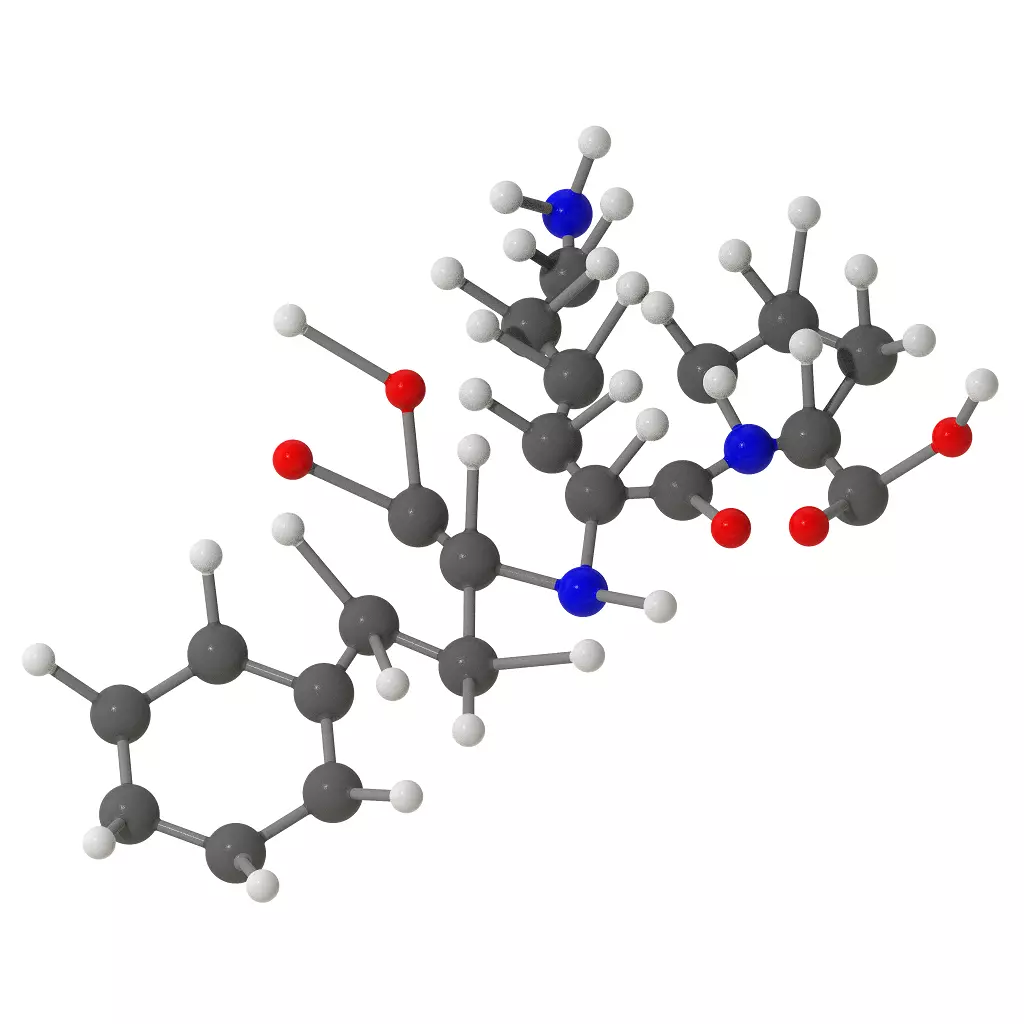 Lisinopril Molecular Structure 3D print model_0