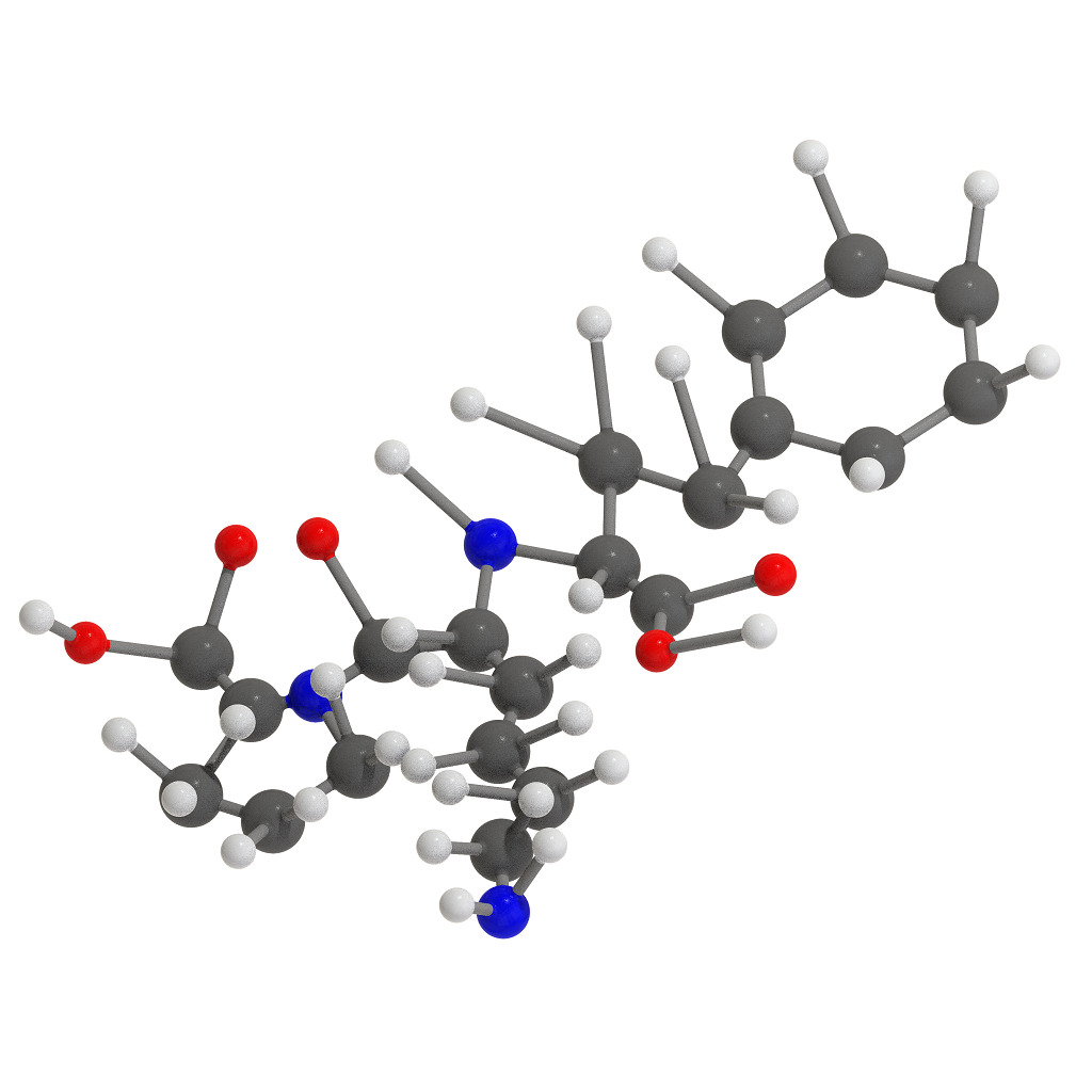 Lisinopril Molecular Structure 3D print model_3