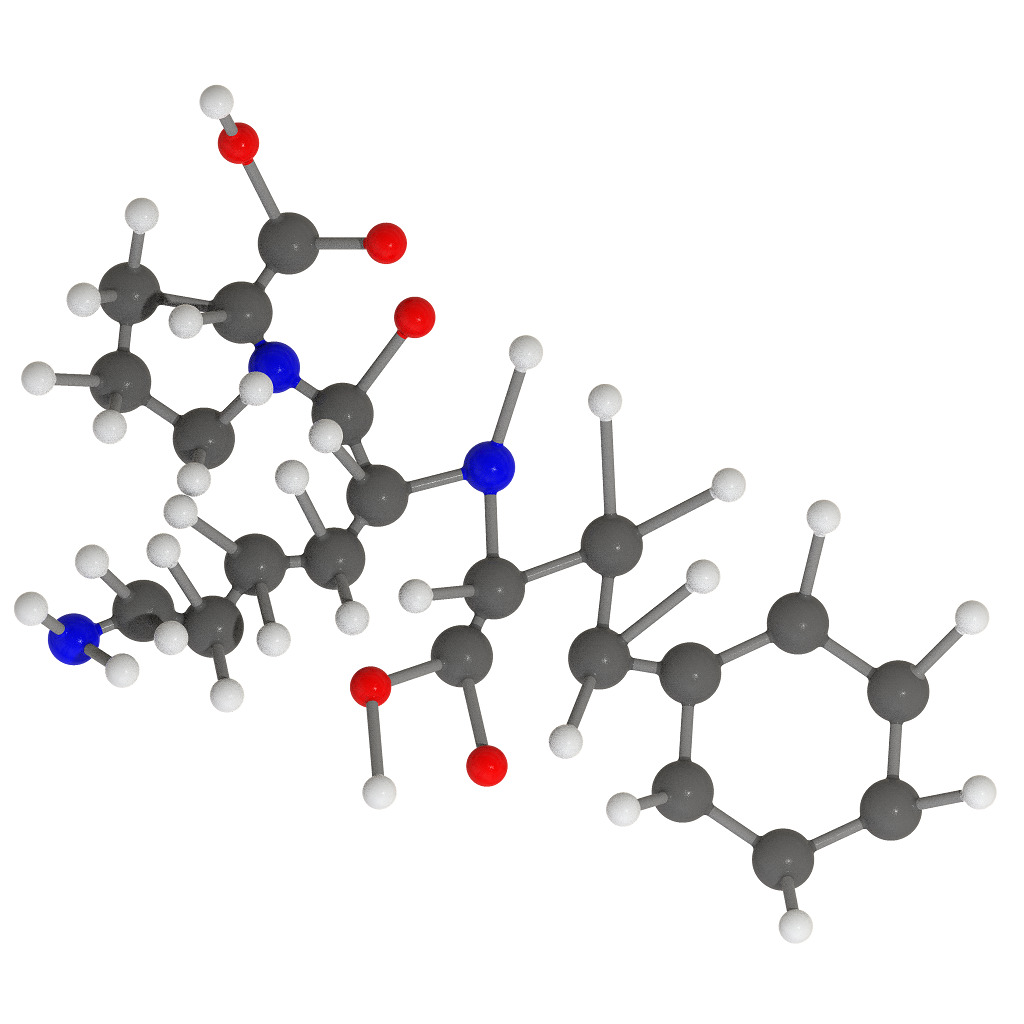 Lisinopril Molecular Structure 3D print model_2