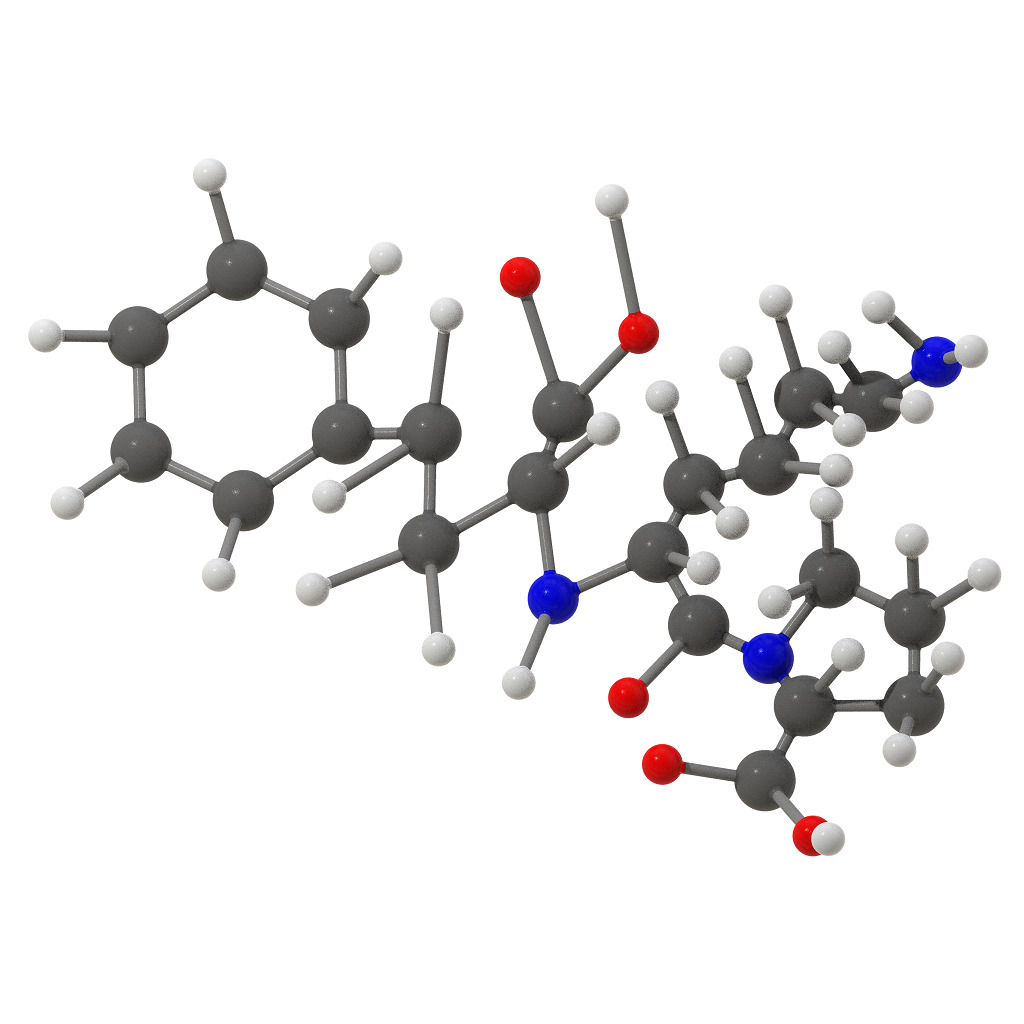 Lisinopril Molecular Structure 3D print model_1