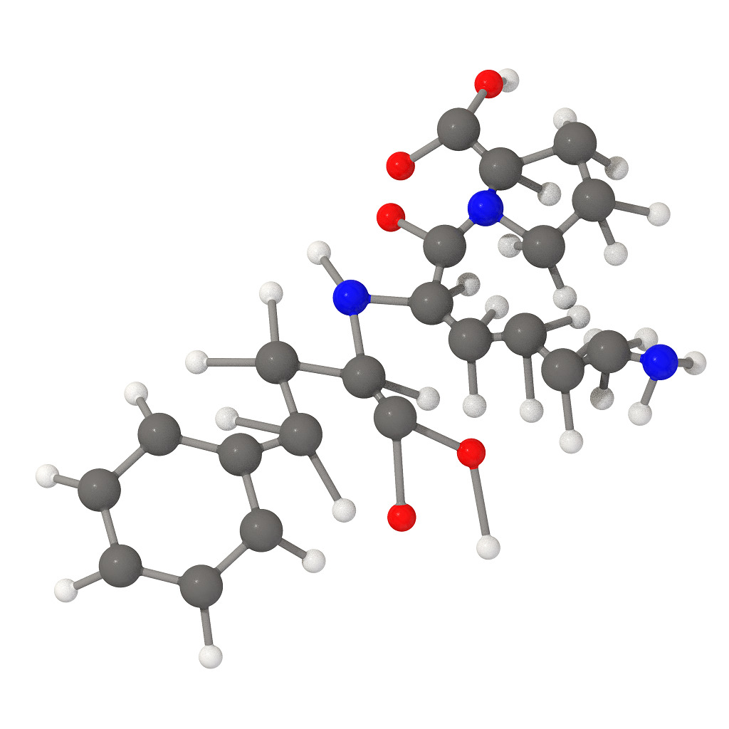 Lisinopril Molecular Structure 3D print model_4