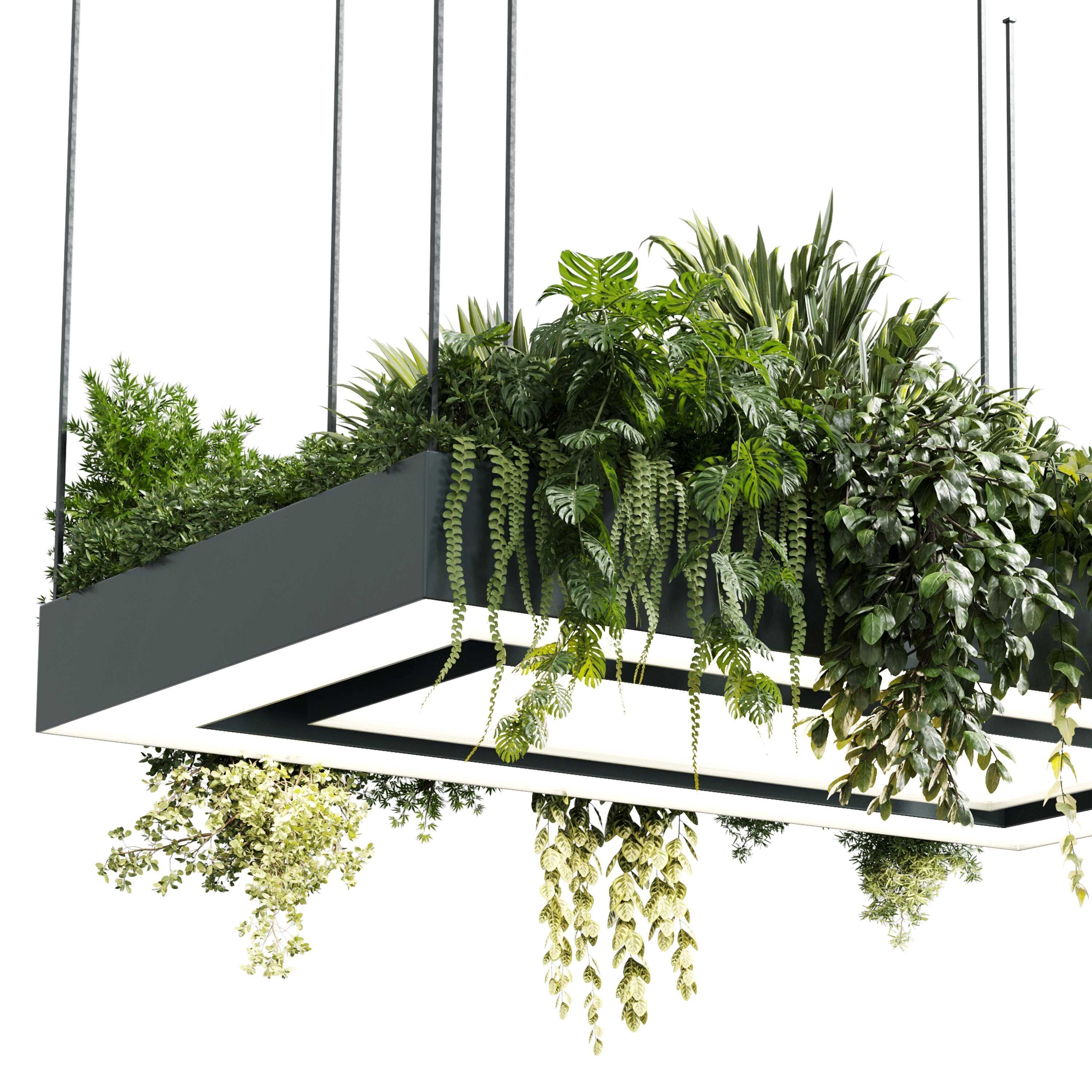 Rectangle pot light pendant plant light hanging   22  3D model_4