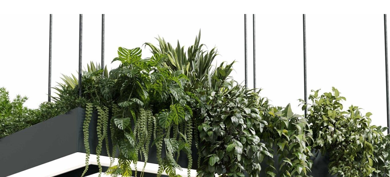 Rectangle pot light pendant plant light hanging   22  3D model_8