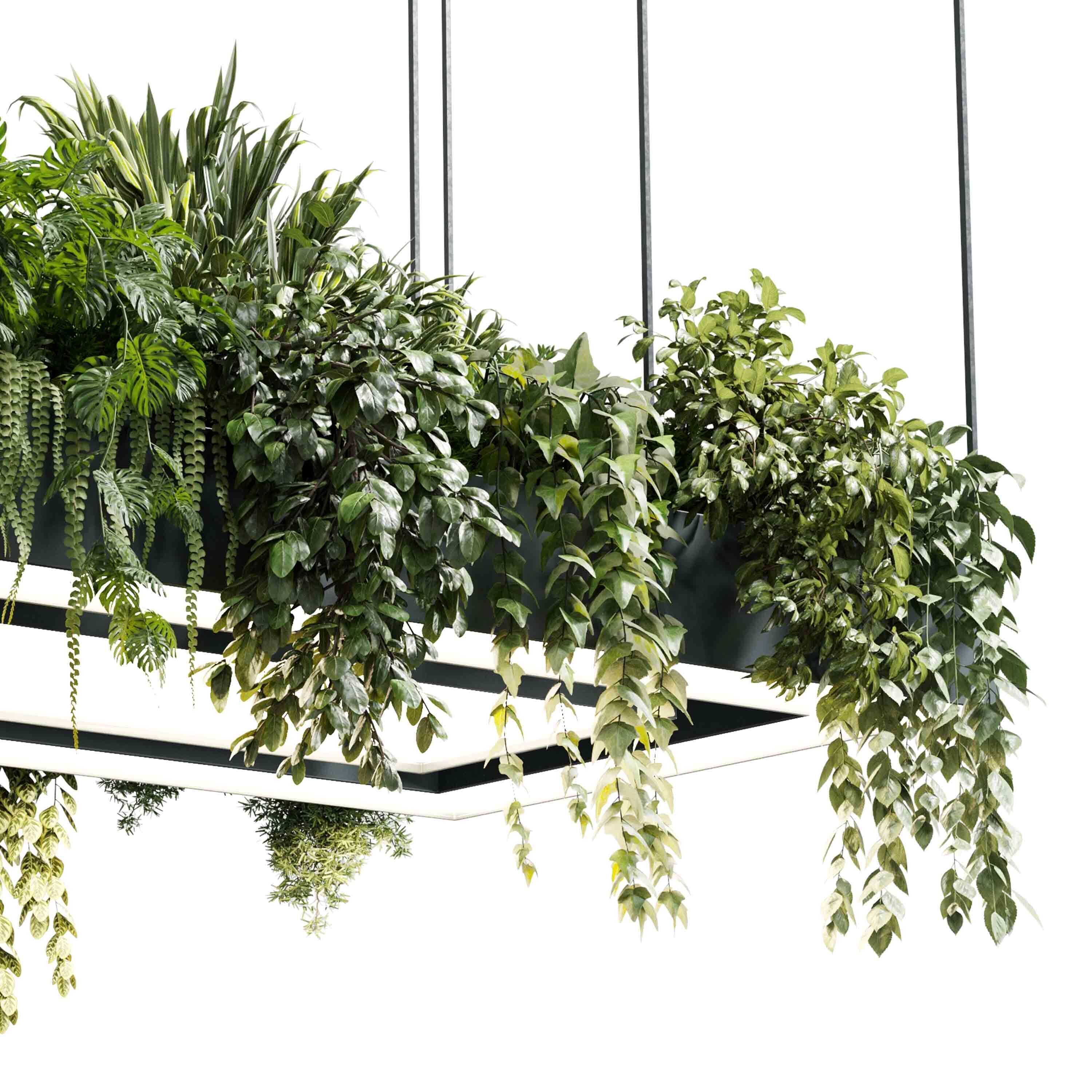 Rectangle pot light pendant plant light hanging   22  3D model_5
