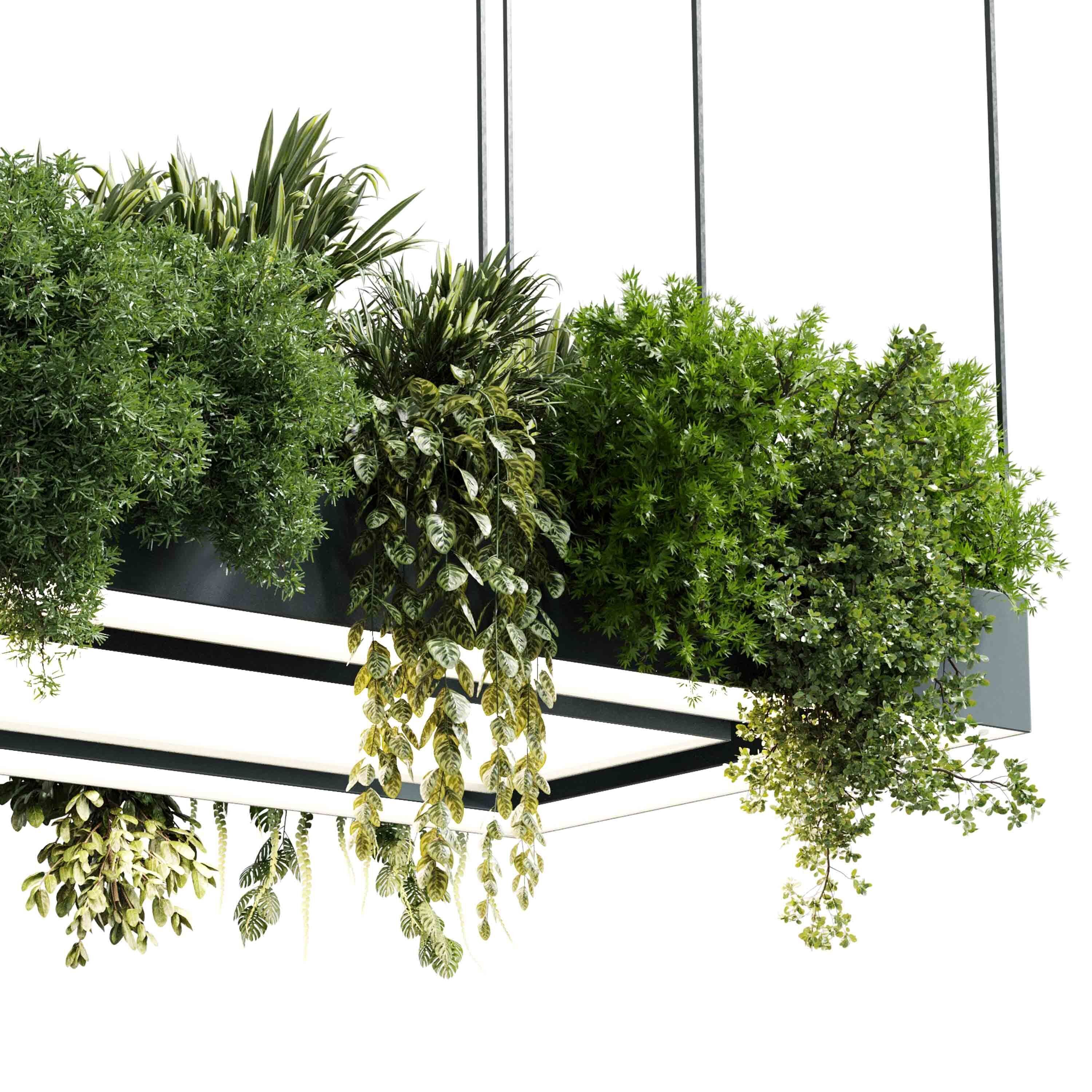 Rectangle pot light pendant plant light hanging   22  3D model_3
