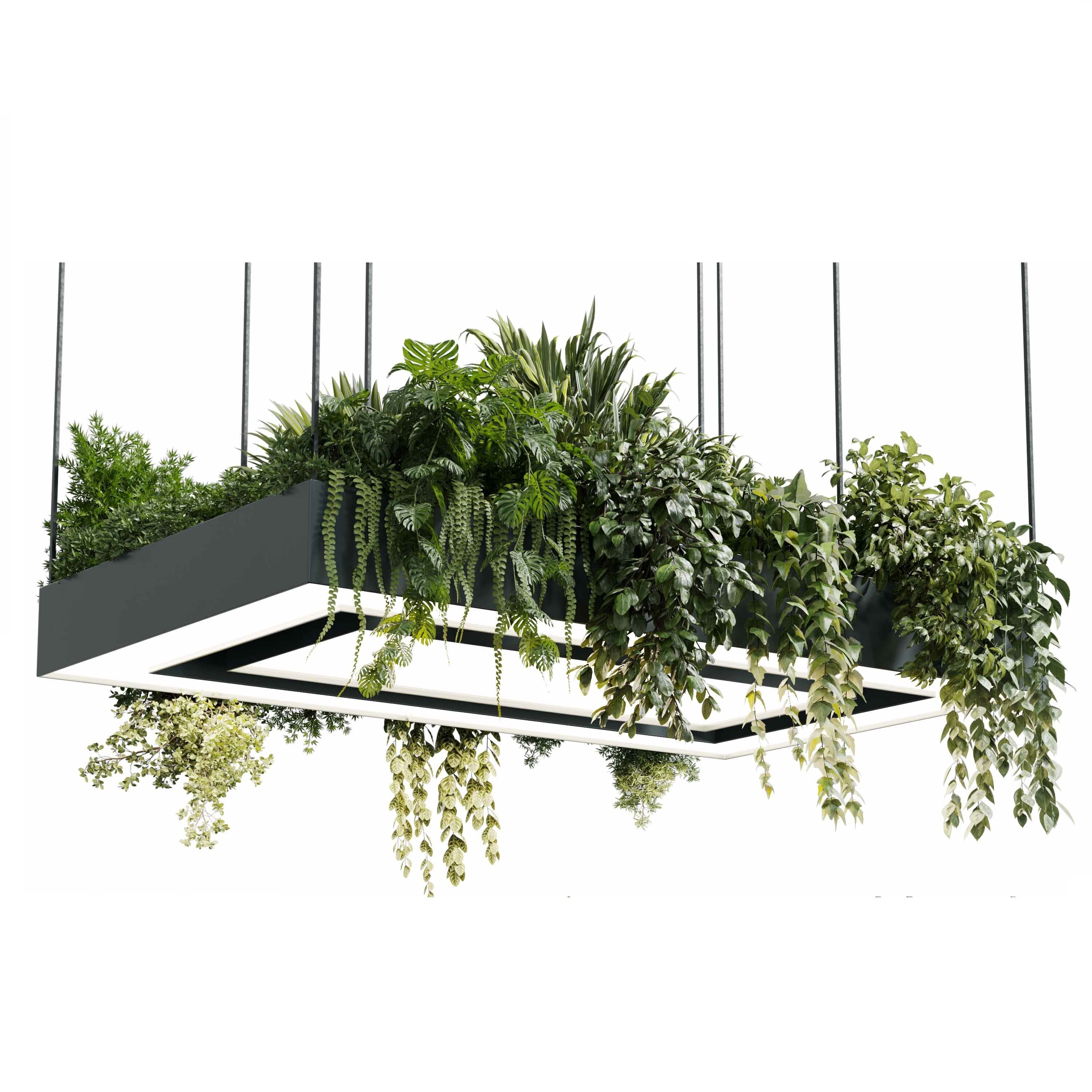 Rectangle pot light pendant plant light hanging   22  3D model_1
