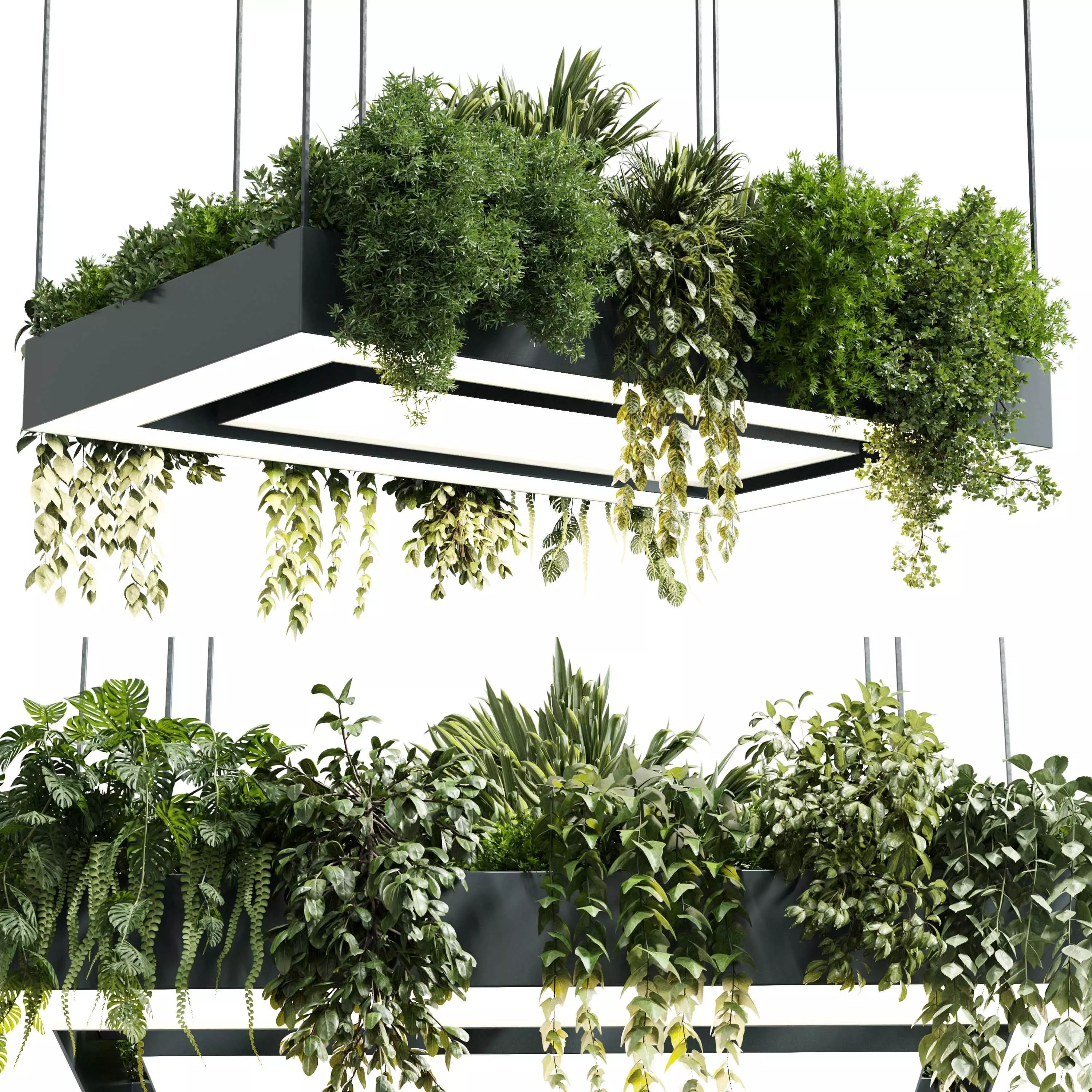 Rectangle pot light pendant plant light hanging   22  3D model_0