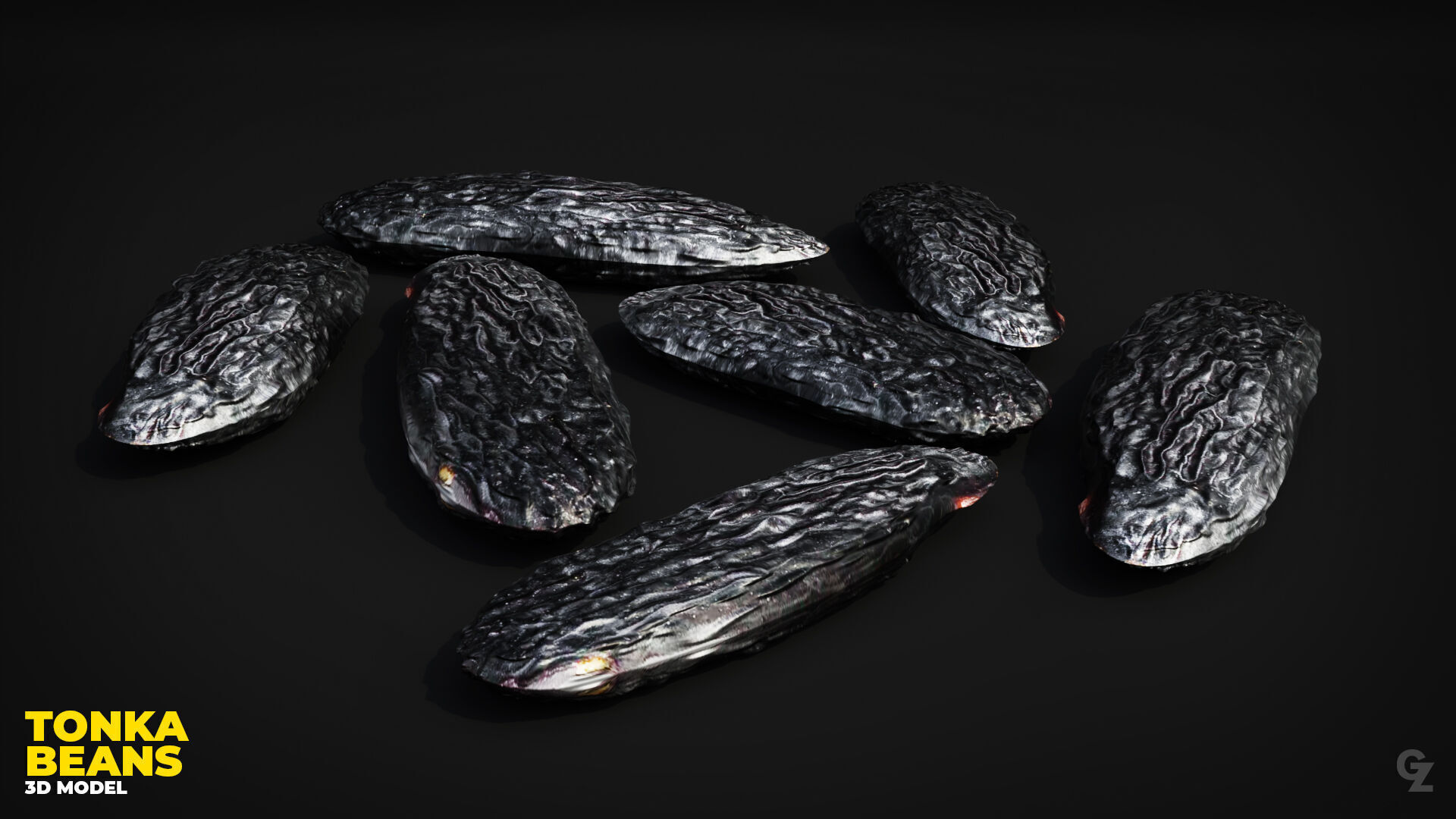 Tonka Bean 3D Model 3D model_2