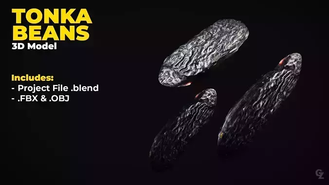 Tonka Bean 3D Model