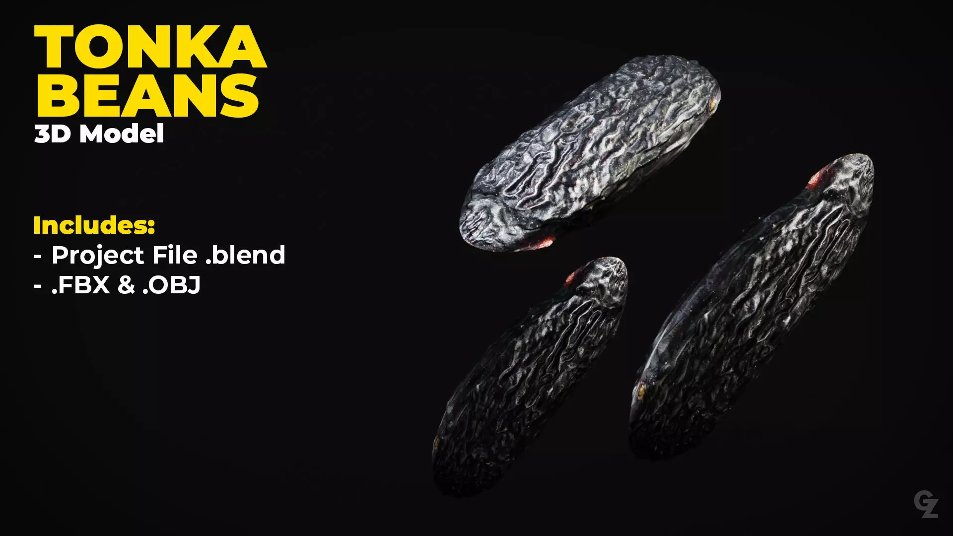 Tonka Bean 3D Model 3D model_0