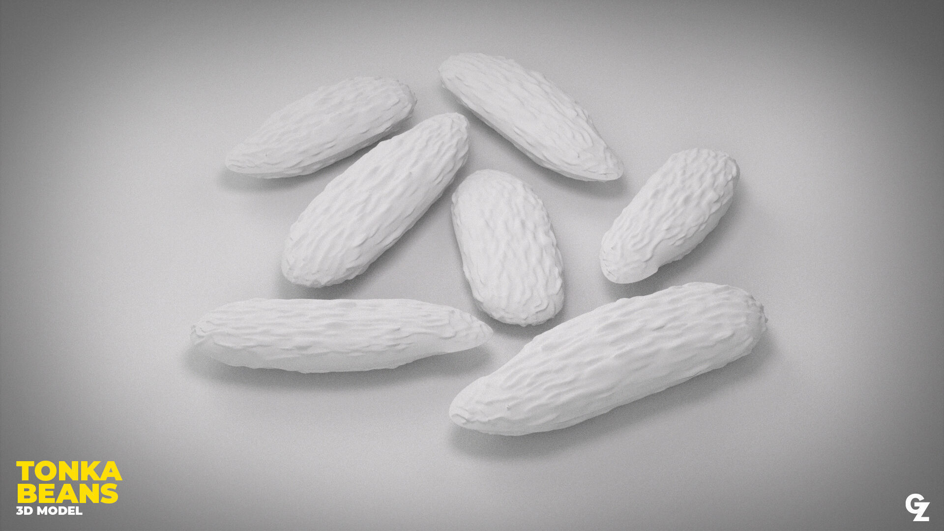 Tonka Bean 3D Model 3D model_3