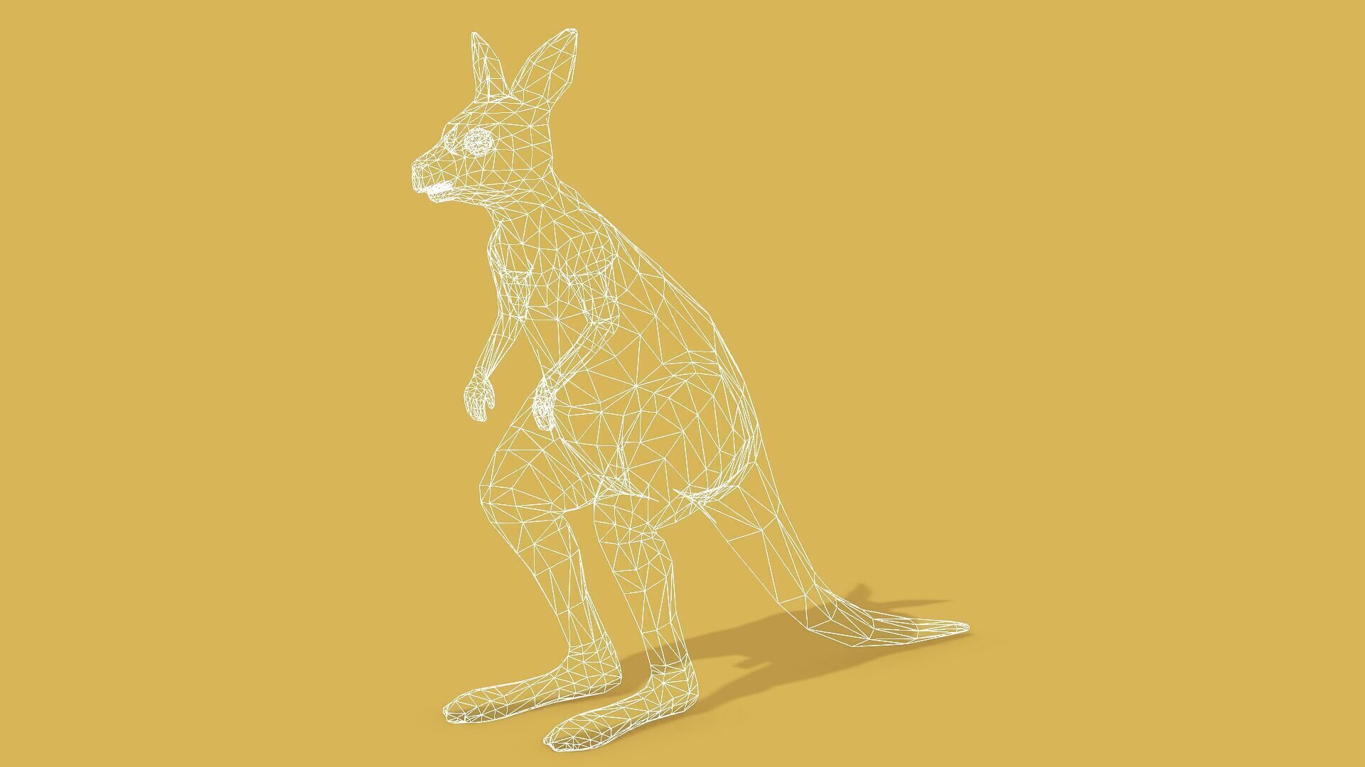 KANGAROO RIGGED ANIMATED 3 Low-poly 3D model_12