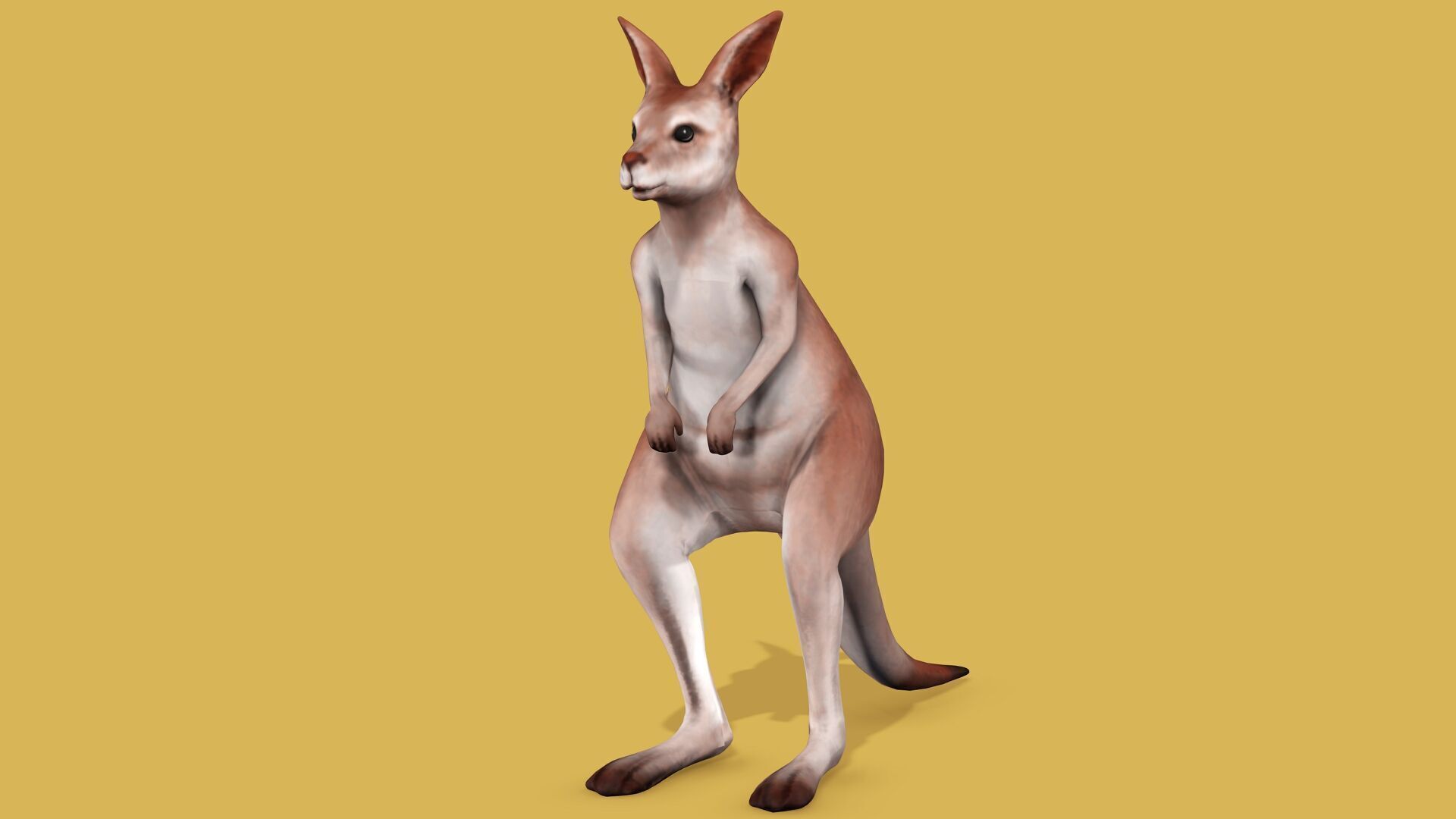 KANGAROO RIGGED ANIMATED 3 Low-poly 3D model_1