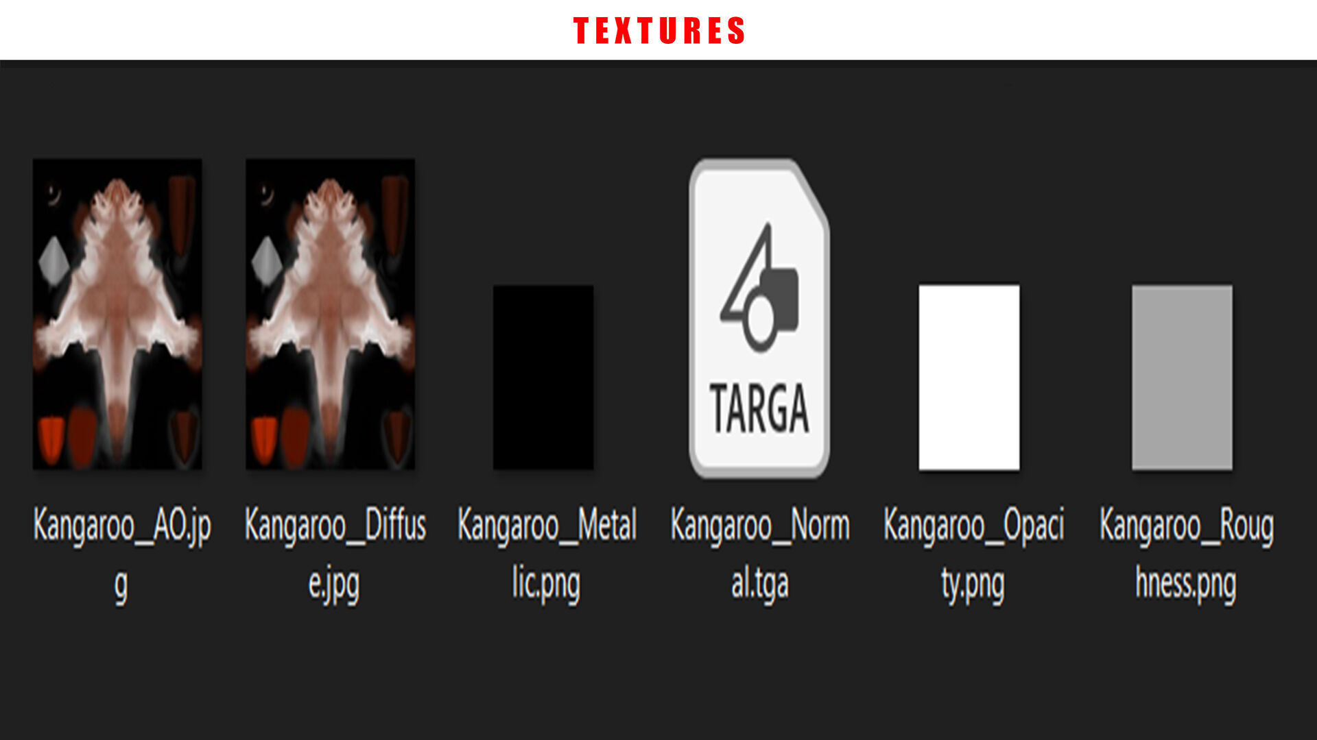 KANGAROO RIGGED ANIMATED 3 Low-poly 3D model_13