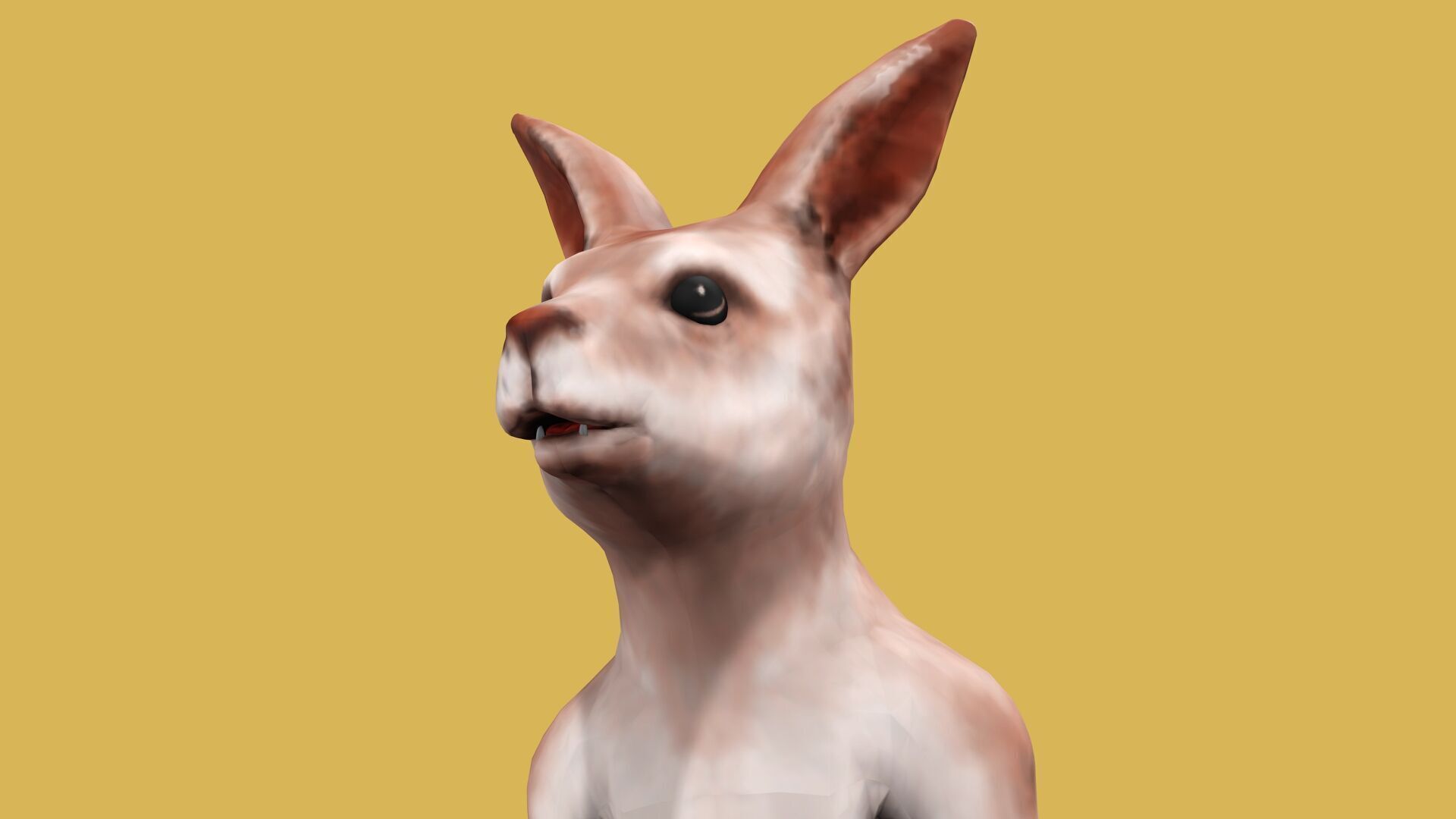 KANGAROO RIGGED ANIMATED 3 Low-poly 3D model_5