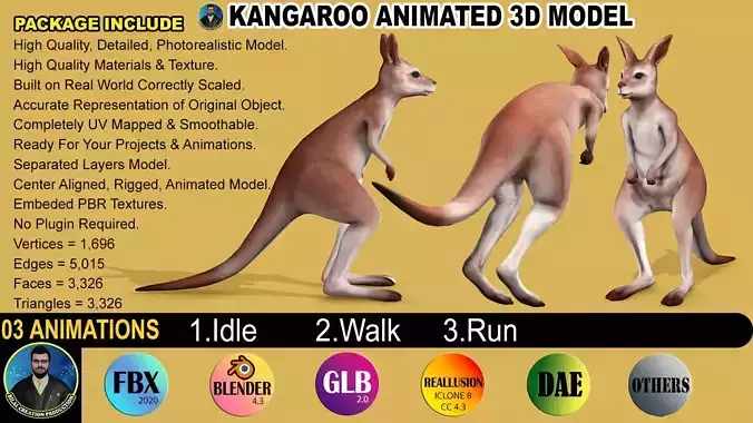 KANGAROO RIGGED ANIMATED 3 Low-poly 3D model