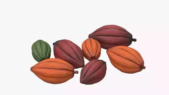 Cocoa Beans Fruits Set