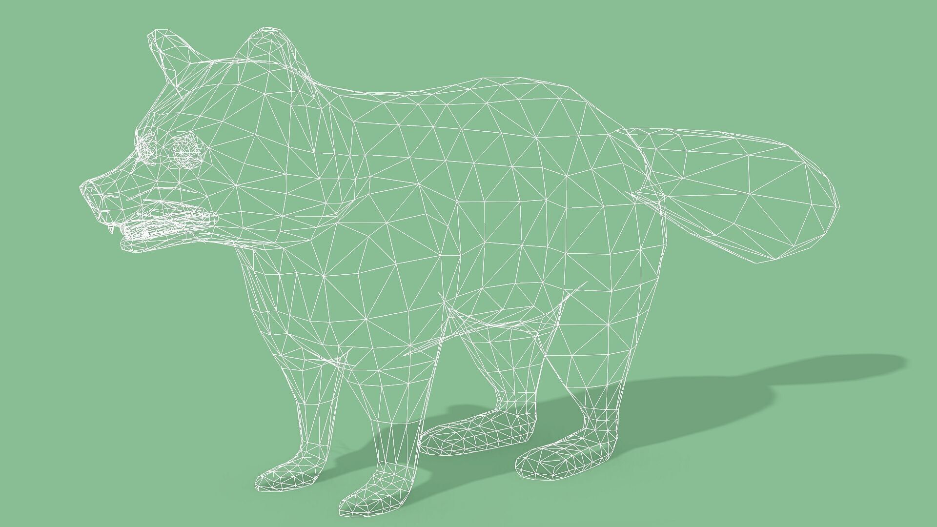 Raccoon Rigged Animated 3 Low-poly 3D model_12