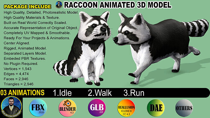 Raccoon Rigged Animated 3 Low-poly 3D model