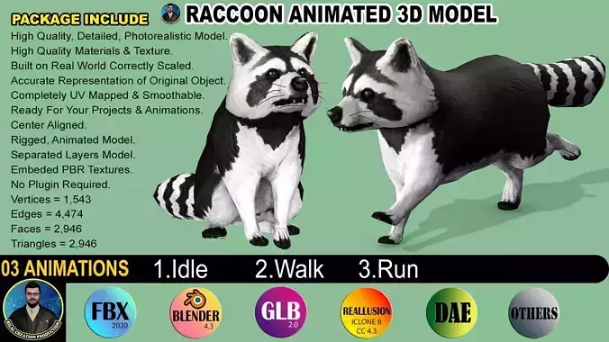 Raccoon Rigged Animated 3 Low-poly 3D model