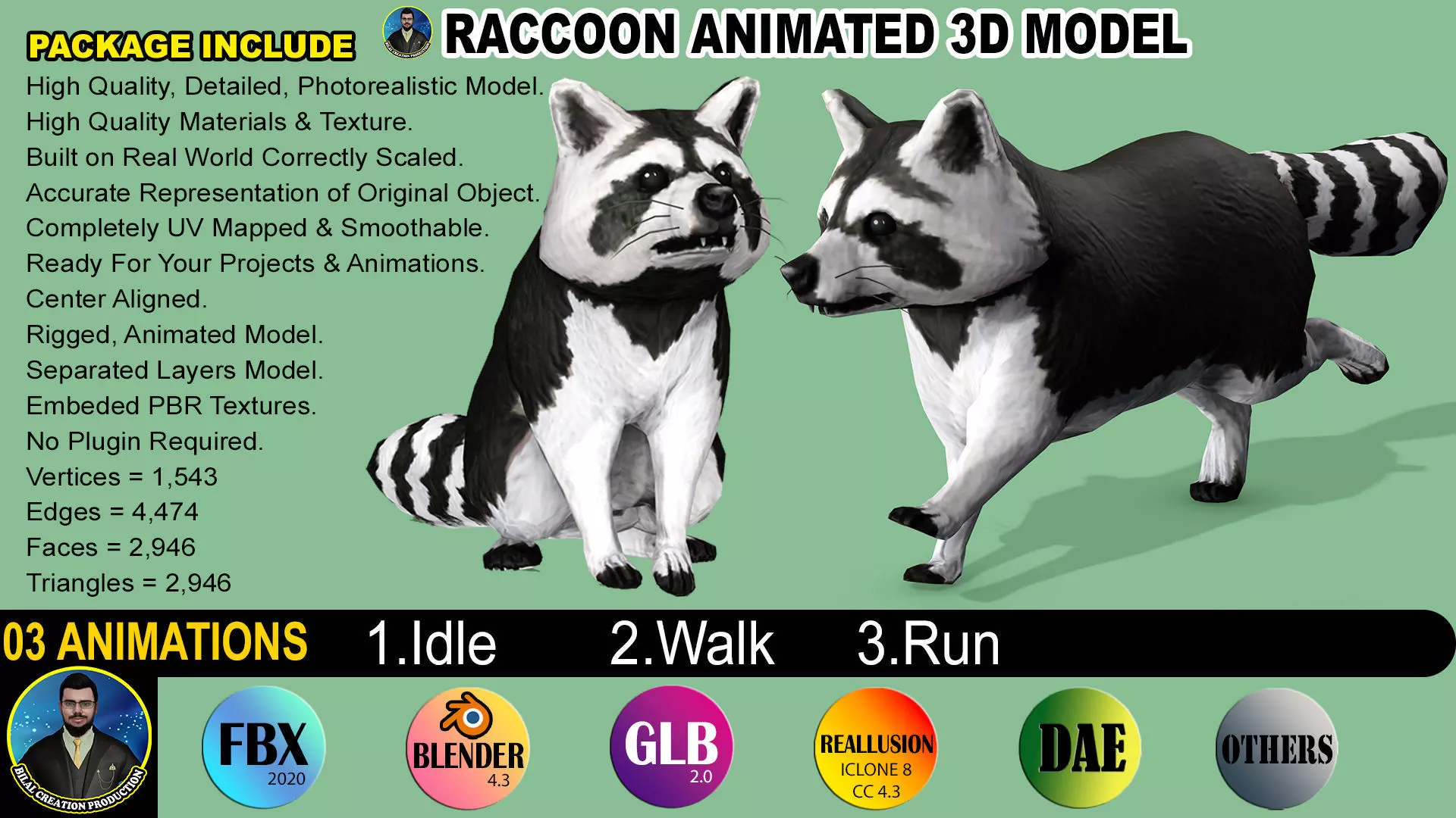 Raccoon Rigged Animated 3 Low-poly 3D model_0