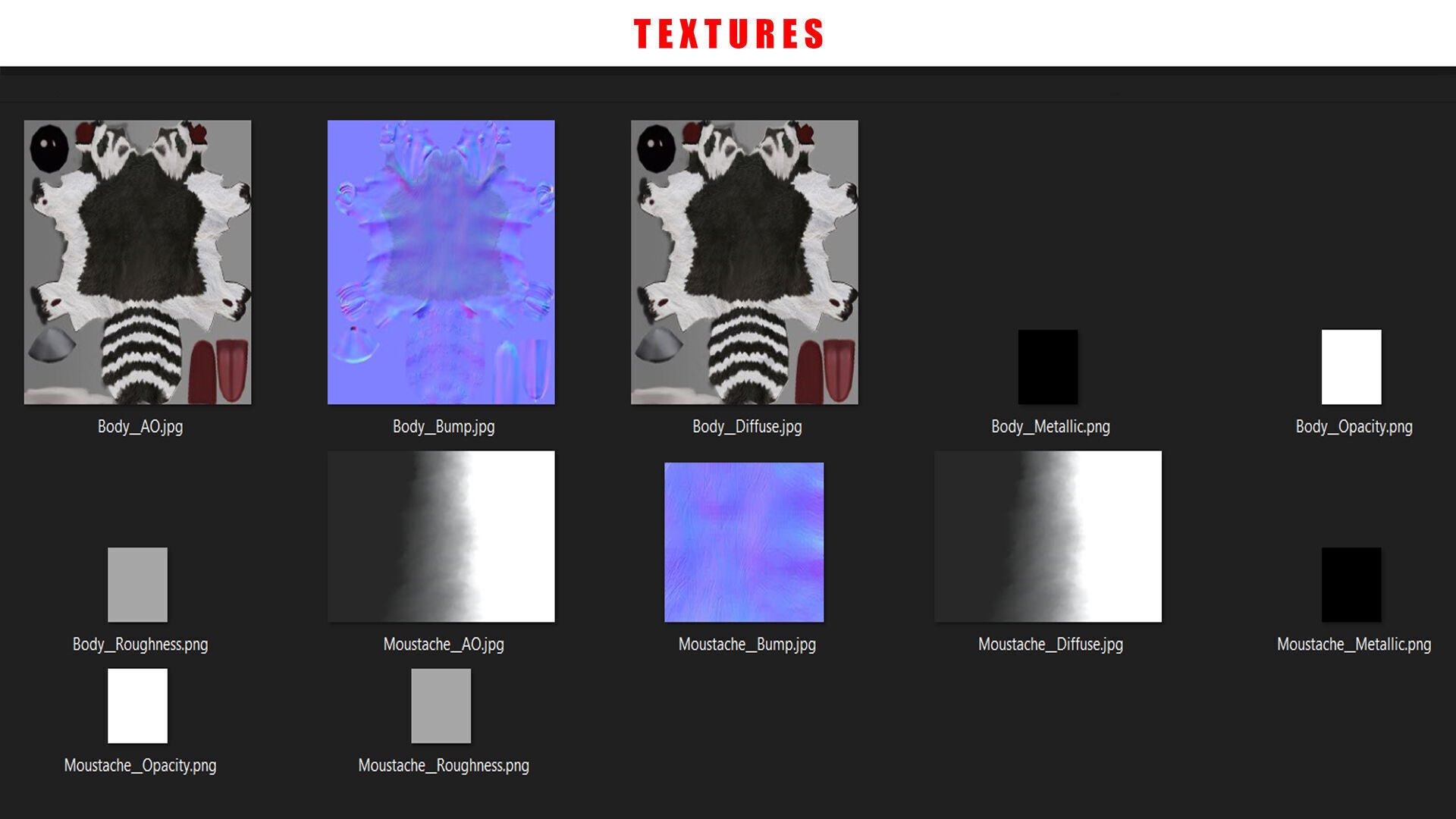 Raccoon Rigged Animated 3 Low-poly 3D model_13