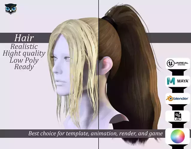 High Ponytail with Front Locks -Render-Ready Character Hair