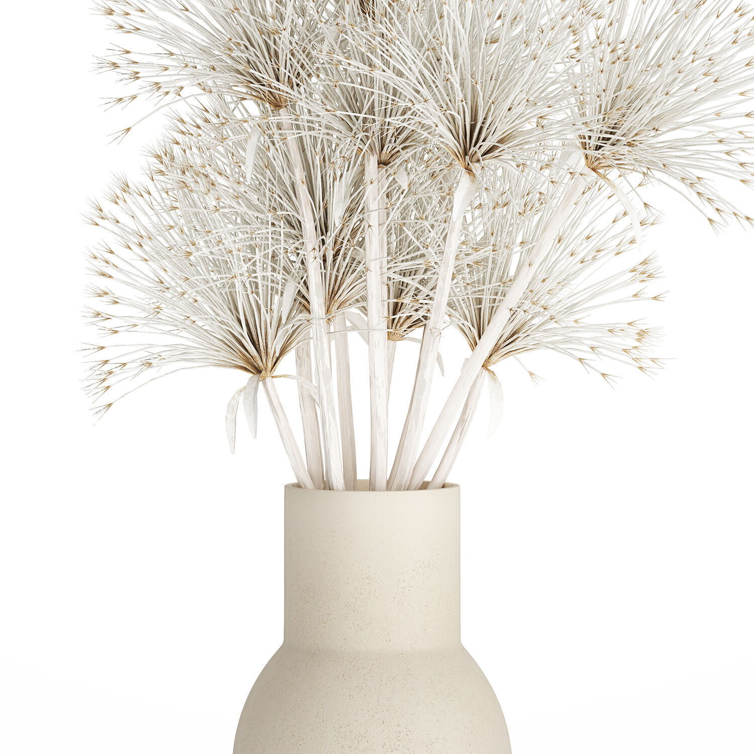 Bouquet Dried Flowers White Branches Hogweed Vase 553 3D model_9