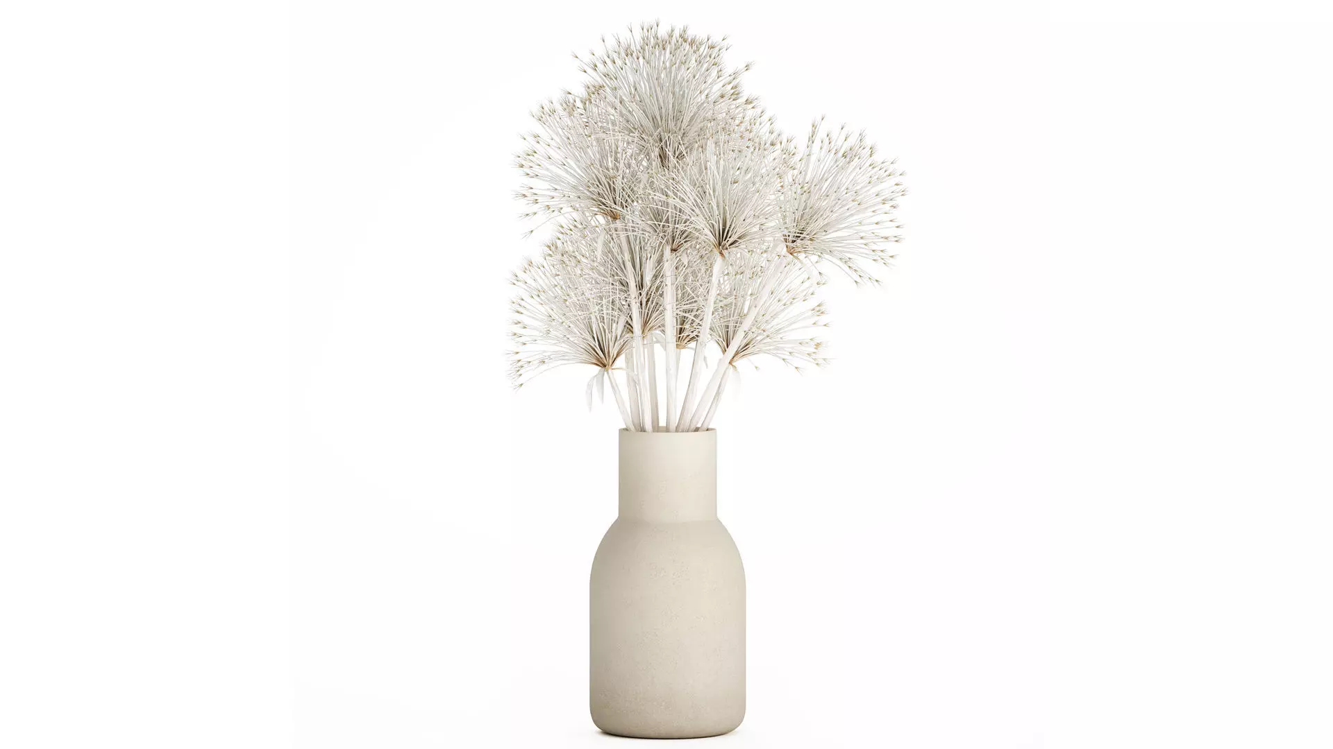 Bouquet Dried Flowers White Branches Hogweed Vase 553 3D model_0