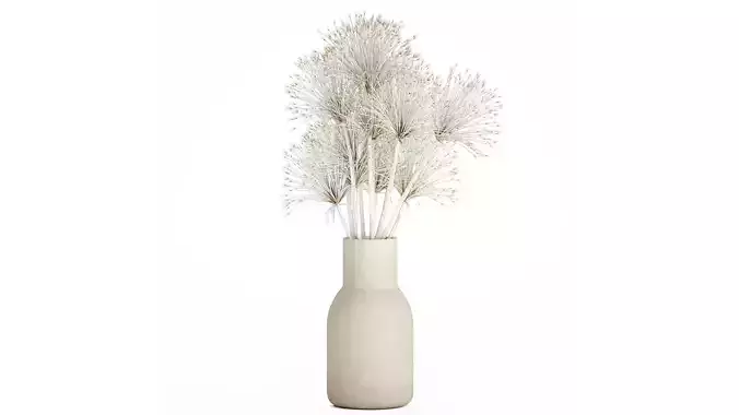 Bouquet Dried Flowers White Branches Hogweed Vase 553