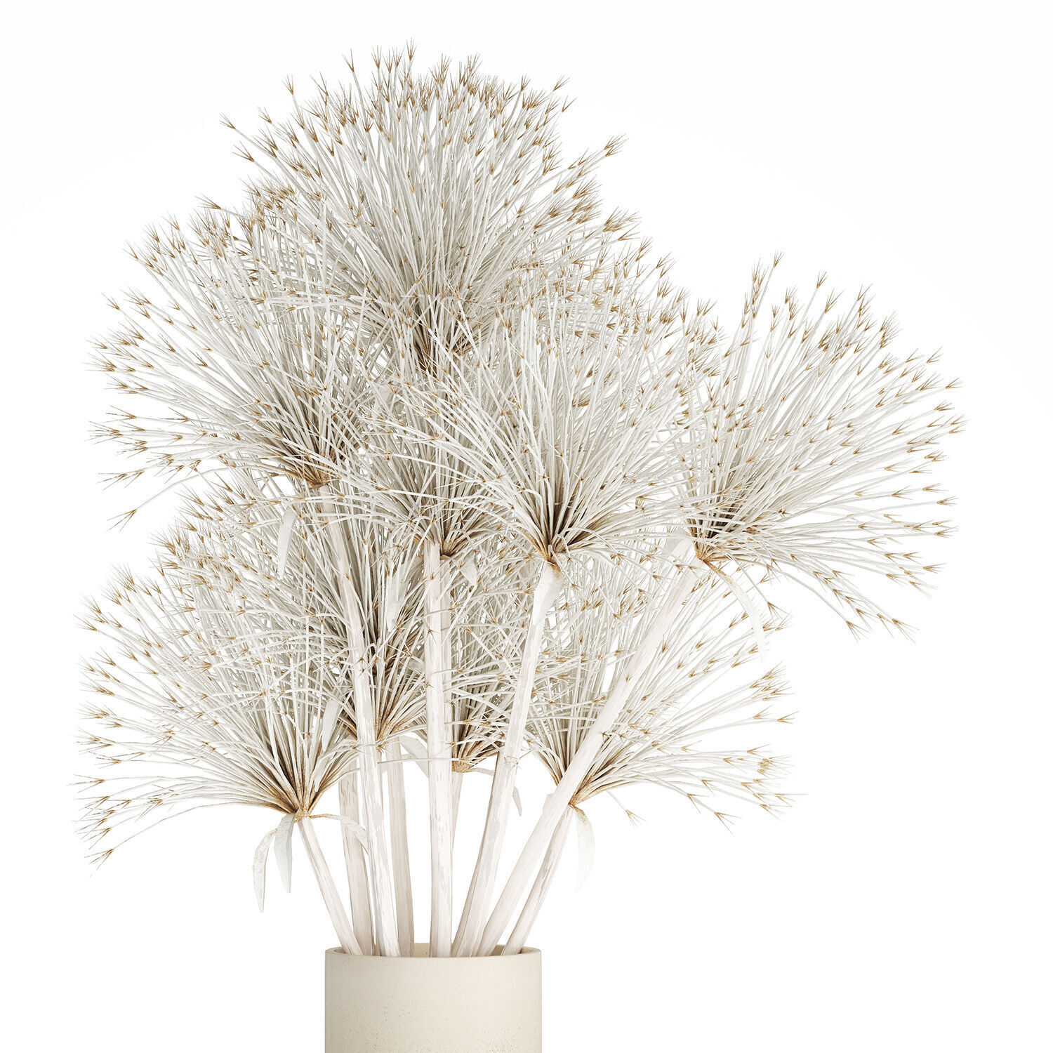 Bouquet Dried Flowers White Branches Hogweed Vase 553 3D model_7
