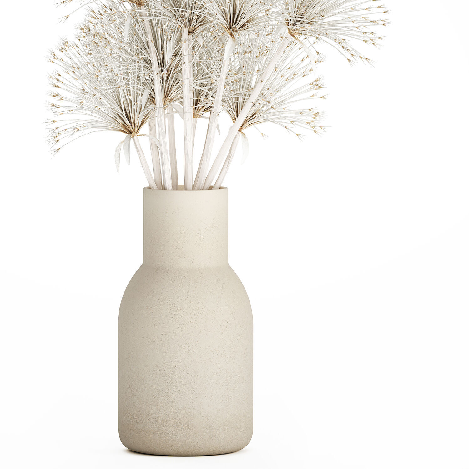 Bouquet Dried Flowers White Branches Hogweed Vase 553 3D model_8