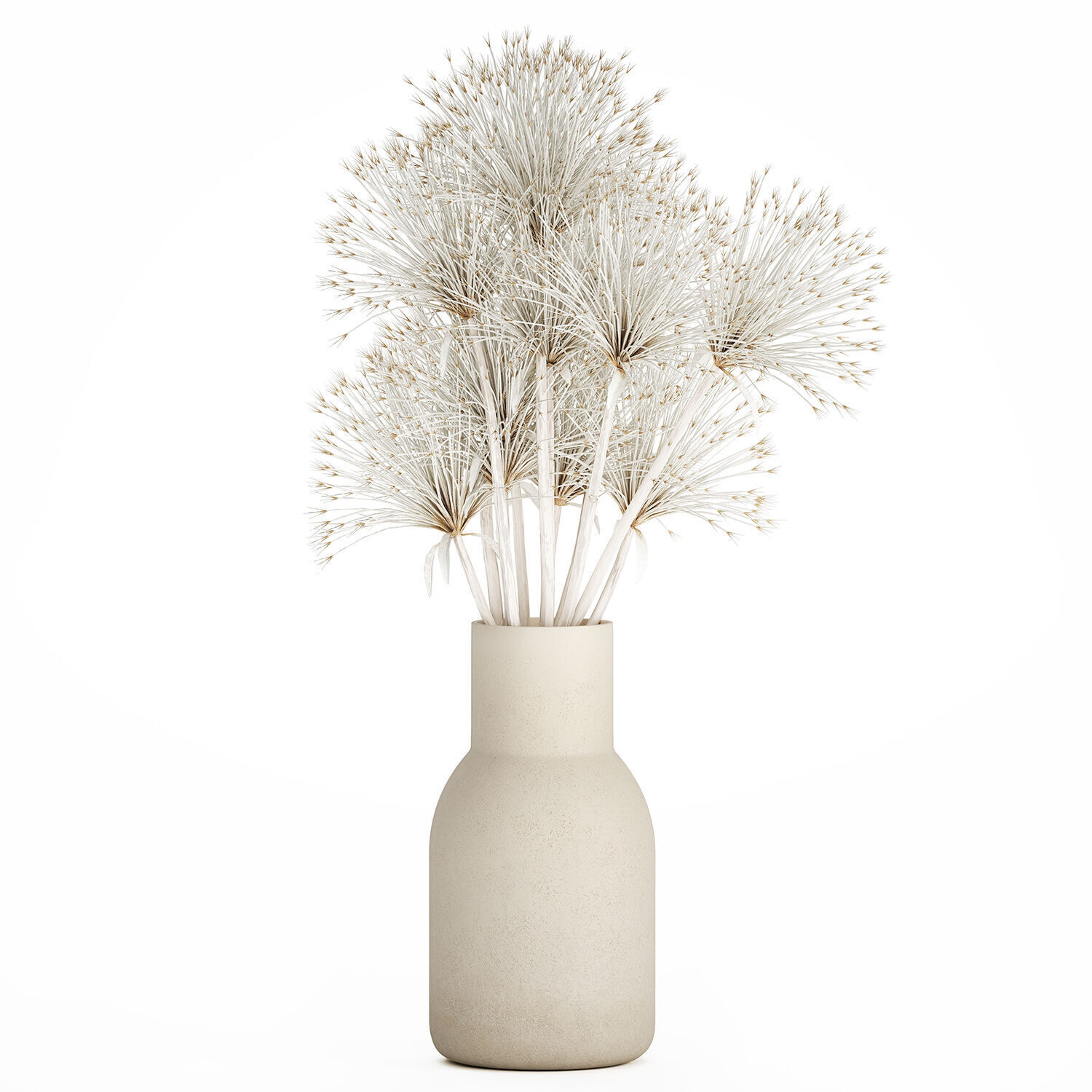 Bouquet Dried Flowers White Branches Hogweed Vase 553 3D model_6