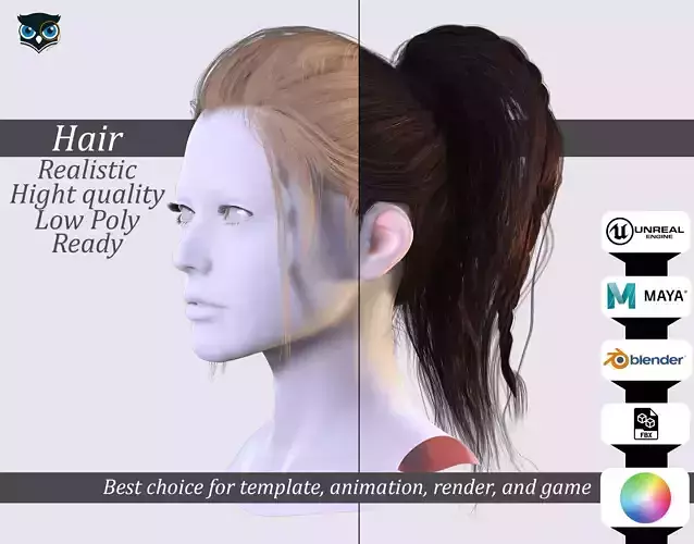 Loose High Ponytail with Strands - Realistic 3D Hair