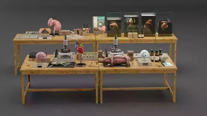 Biological Specimen Laboratory Equipment 3D model
