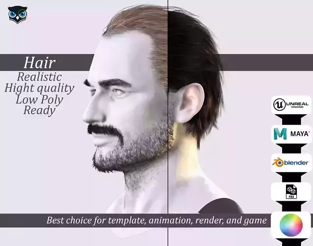Realistic Male Hairstyle and Beard - Game Ready 3D Model Low-poly 3D model
