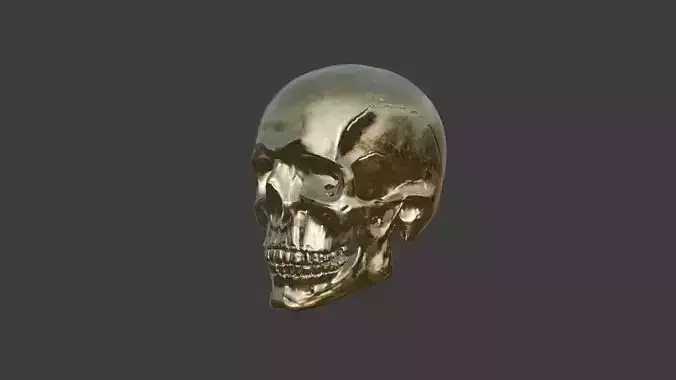 Realistic Gold Human Skull - 3D Model  Game Ready  Blender Low-poly 3D model