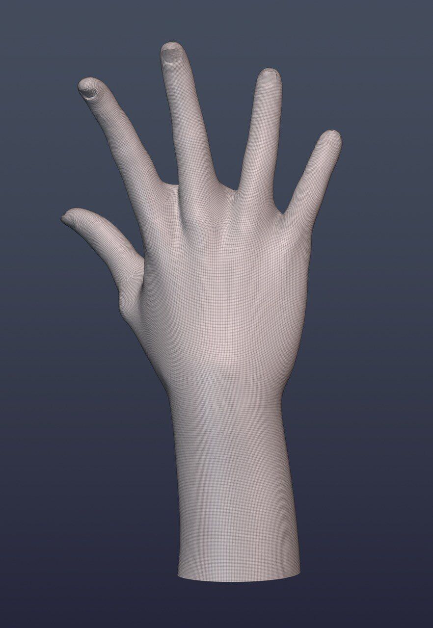 10 Female hand poses 3D model_8