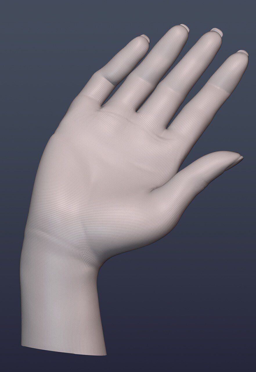 10 Female hand poses 3D model_14