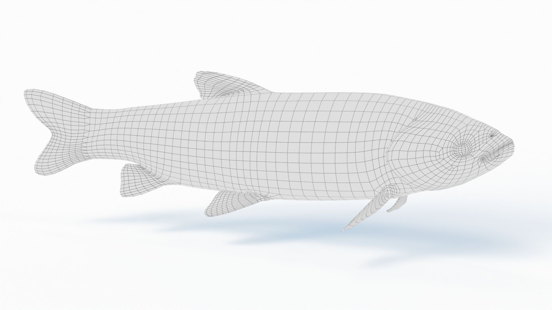 Amur fish Animated Low-poly 3D model_10