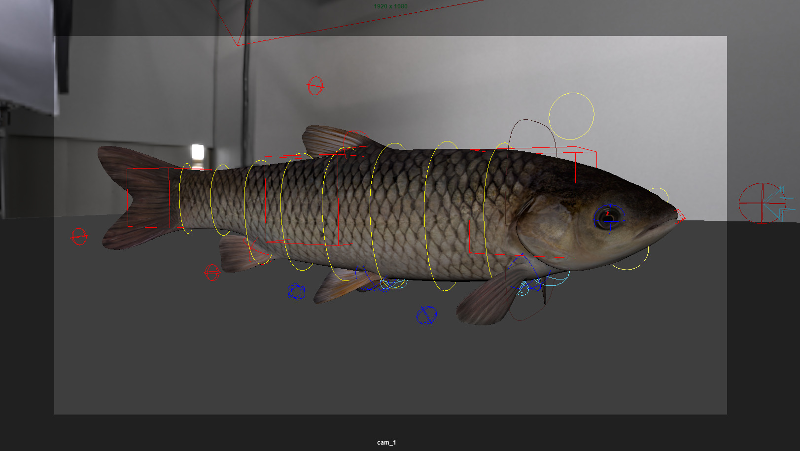 Amur fish Animated Low-poly 3D model_12