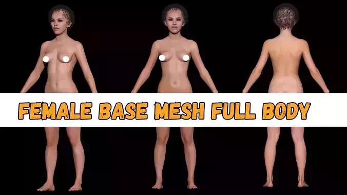 Female base mesh full body Anatomy - Low poly and High poly