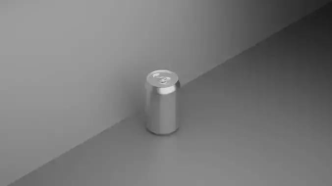aluminum can