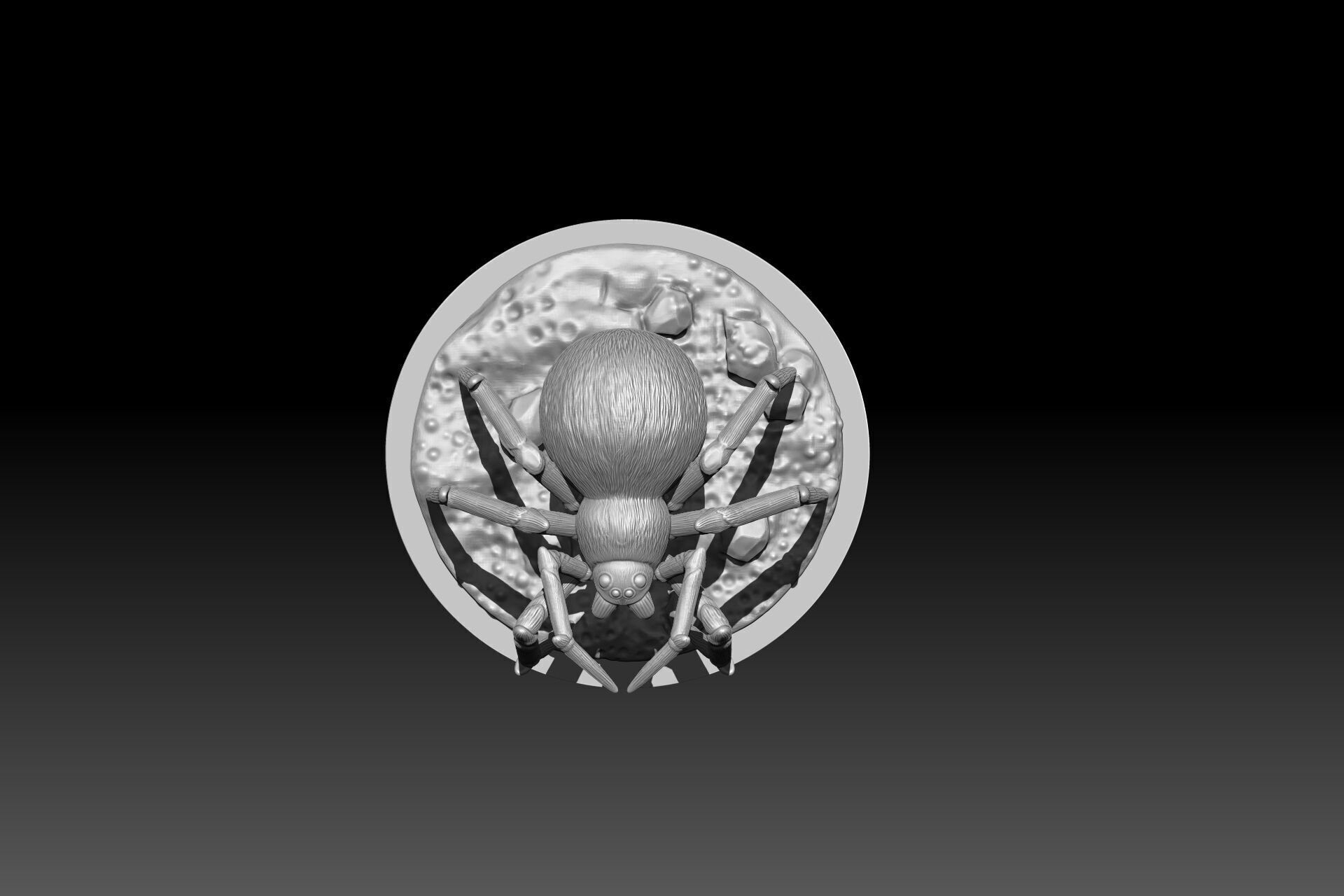 3D printable spider model perfect for Halloween 3D print model_2