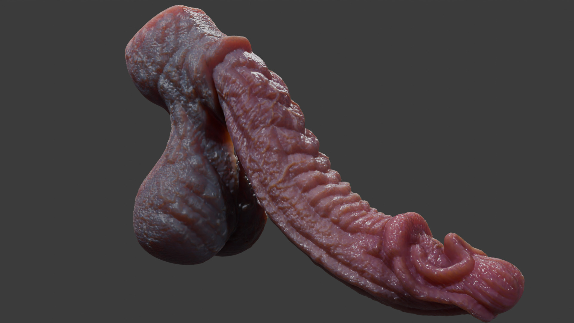 Fantasy Birmal Monster Penis Rigged Lowpoly Low-poly 3D model_7