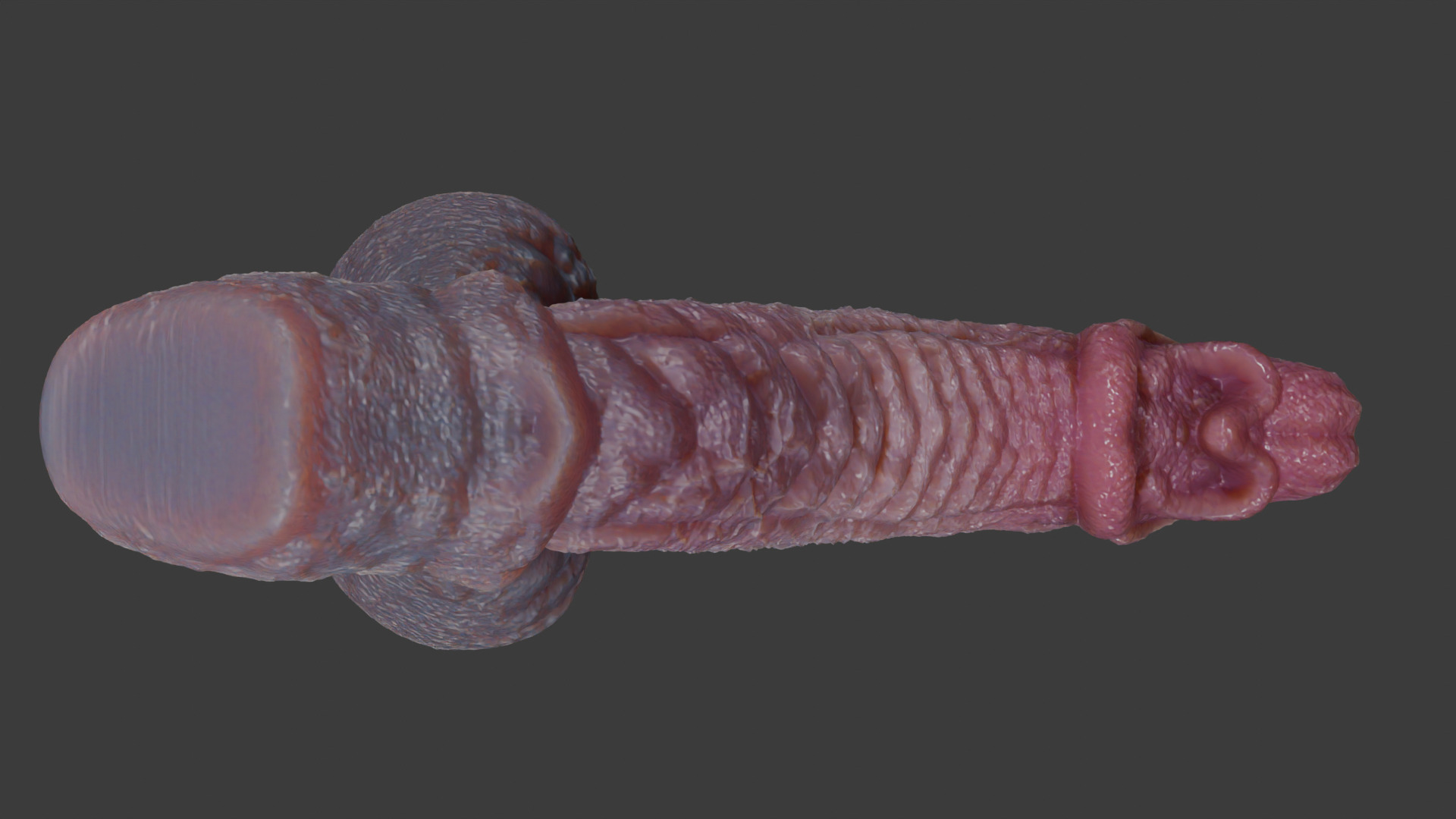 Fantasy Birmal Monster Penis Rigged Lowpoly Low-poly 3D model_8