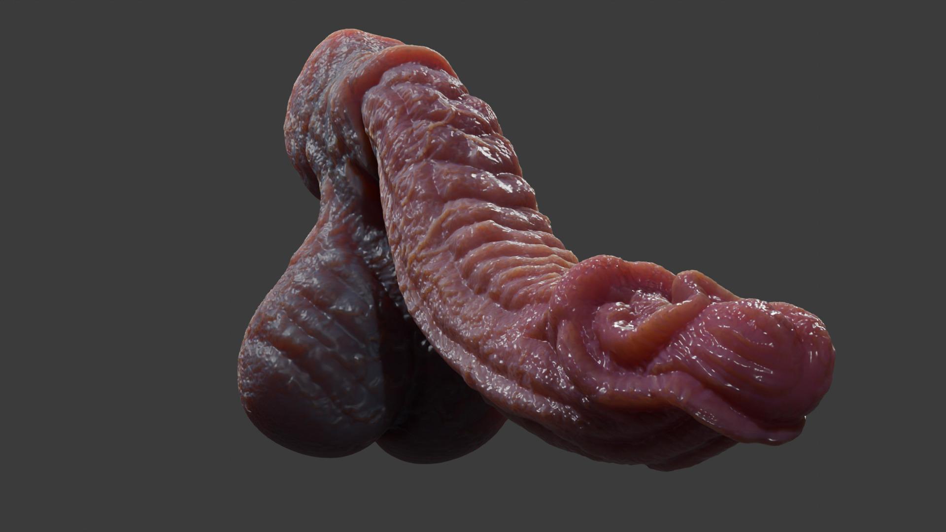 Fantasy Birmal Monster Penis Rigged Lowpoly Low-poly 3D model_9