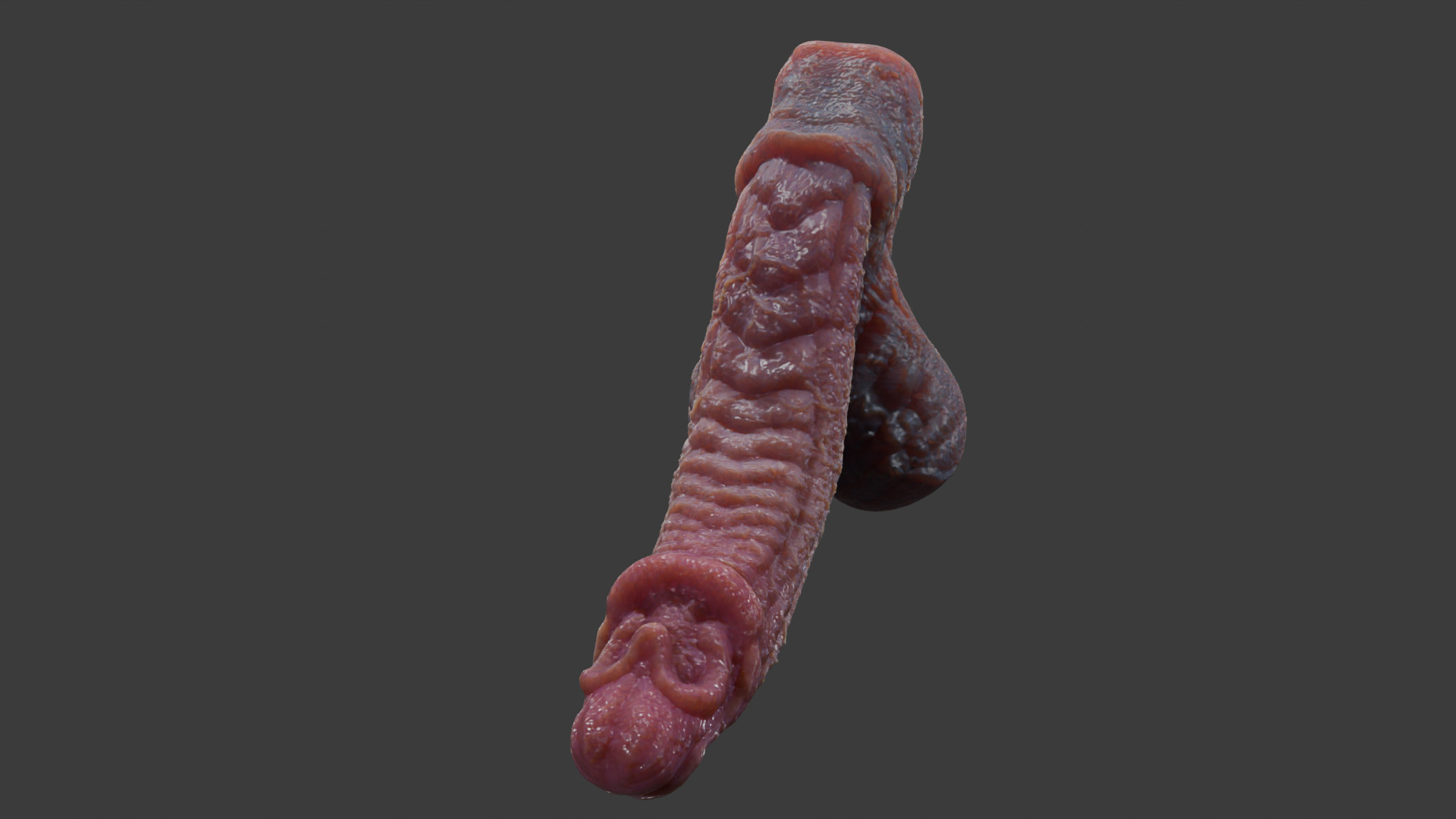 Fantasy Birmal Monster Penis Rigged Lowpoly Low-poly 3D model_6